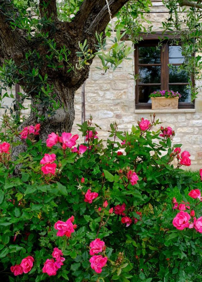 Le Mandrie Di San Paolo Villa Assisi Luaran gambar
