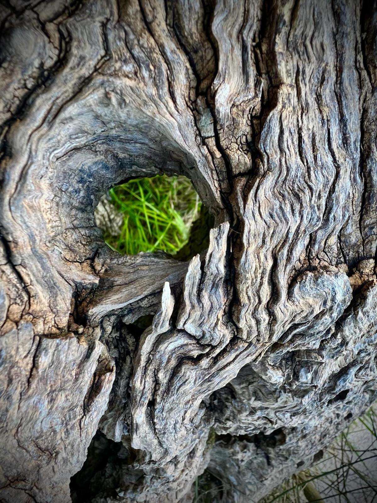 Le Mandrie Di San Paolo Villa Assisi Luaran gambar