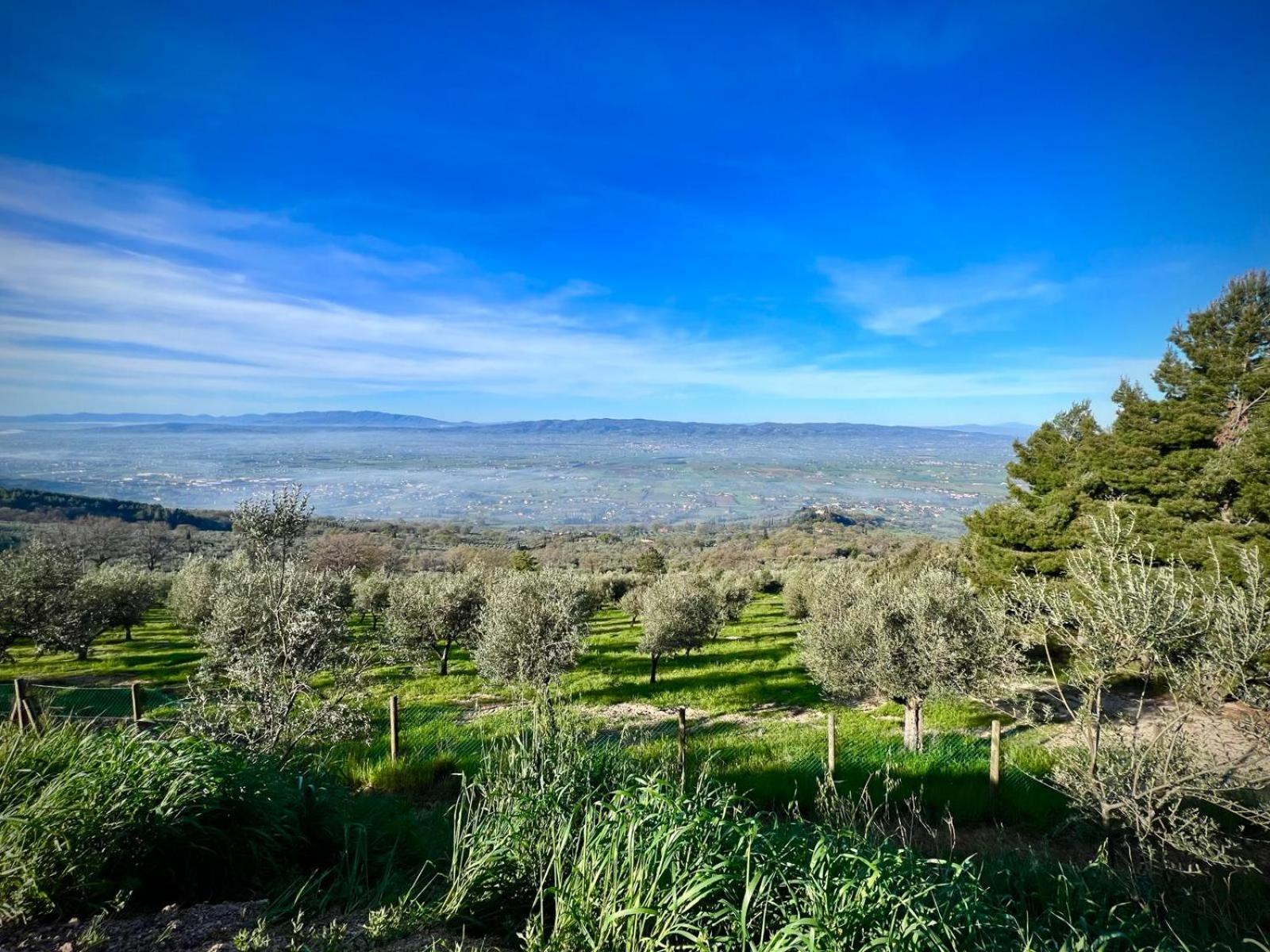 Le Mandrie Di San Paolo Villa Assisi Luaran gambar