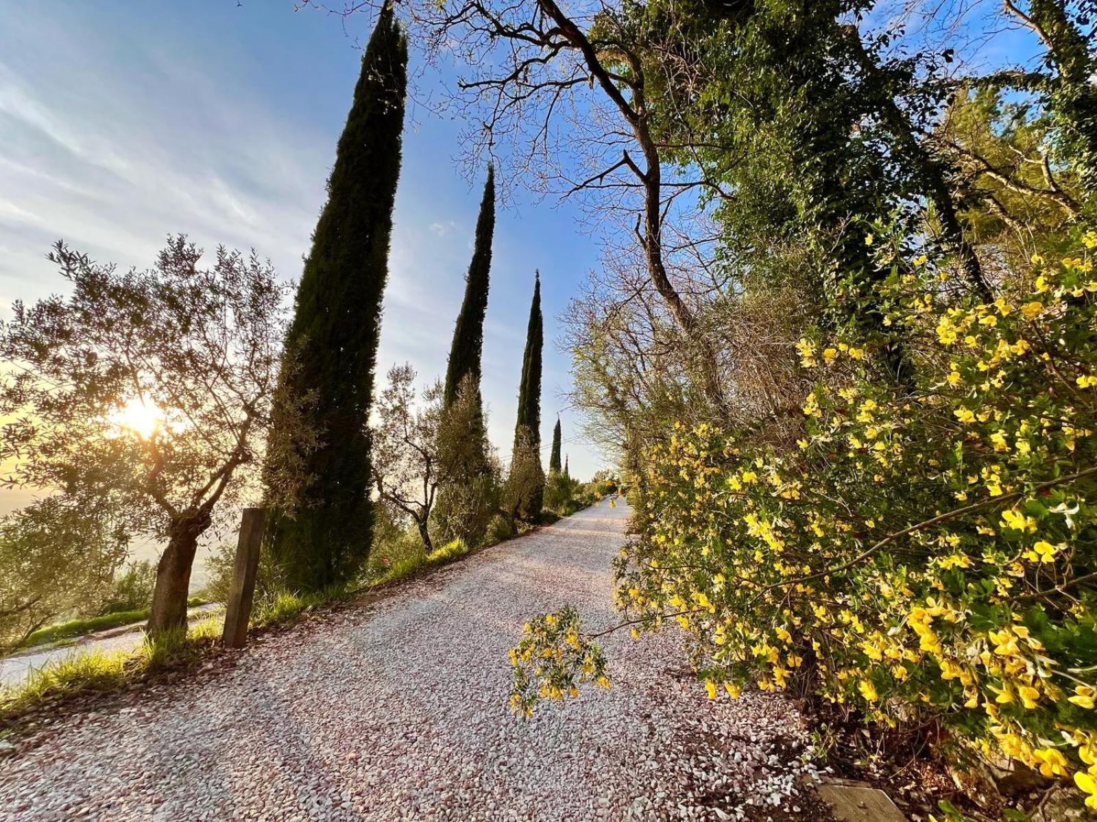 Le Mandrie Di San Paolo Villa Assisi Luaran gambar