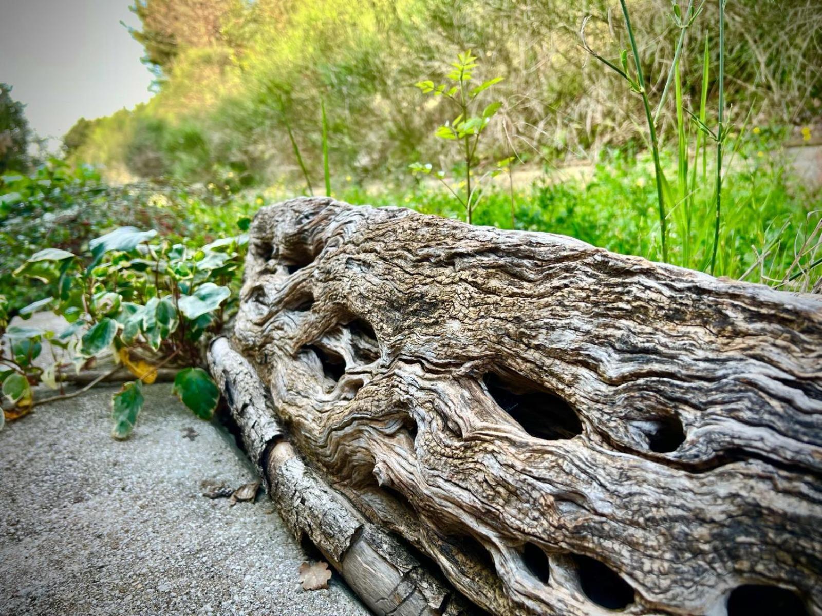 Le Mandrie Di San Paolo Villa Assisi Luaran gambar