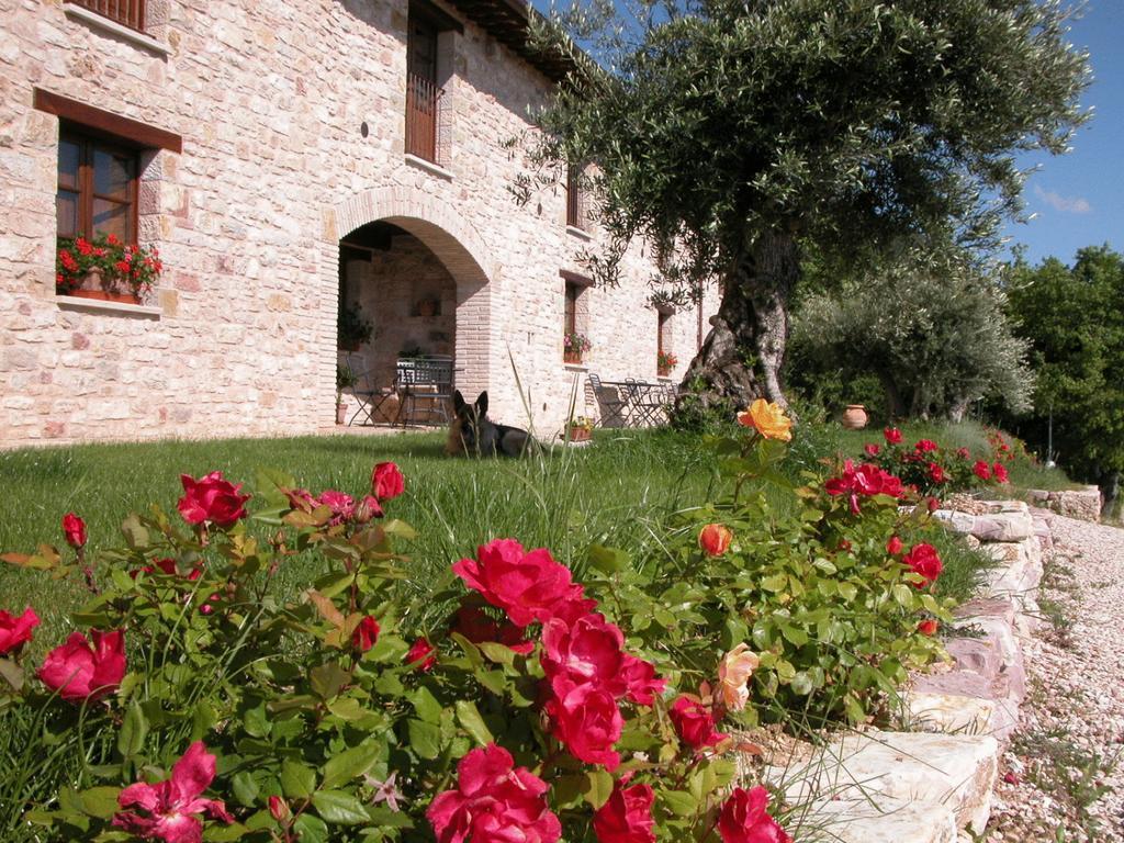 Le Mandrie Di San Paolo Villa Assisi Luaran gambar